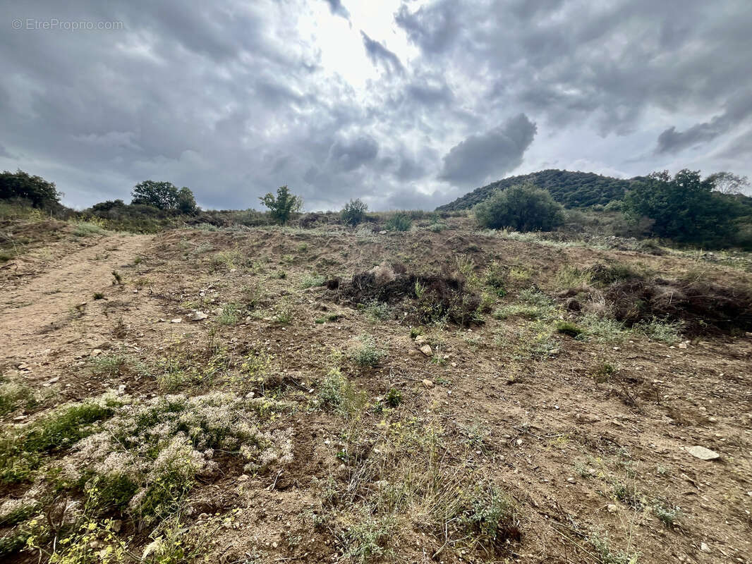 Terrain à MONTICELLO