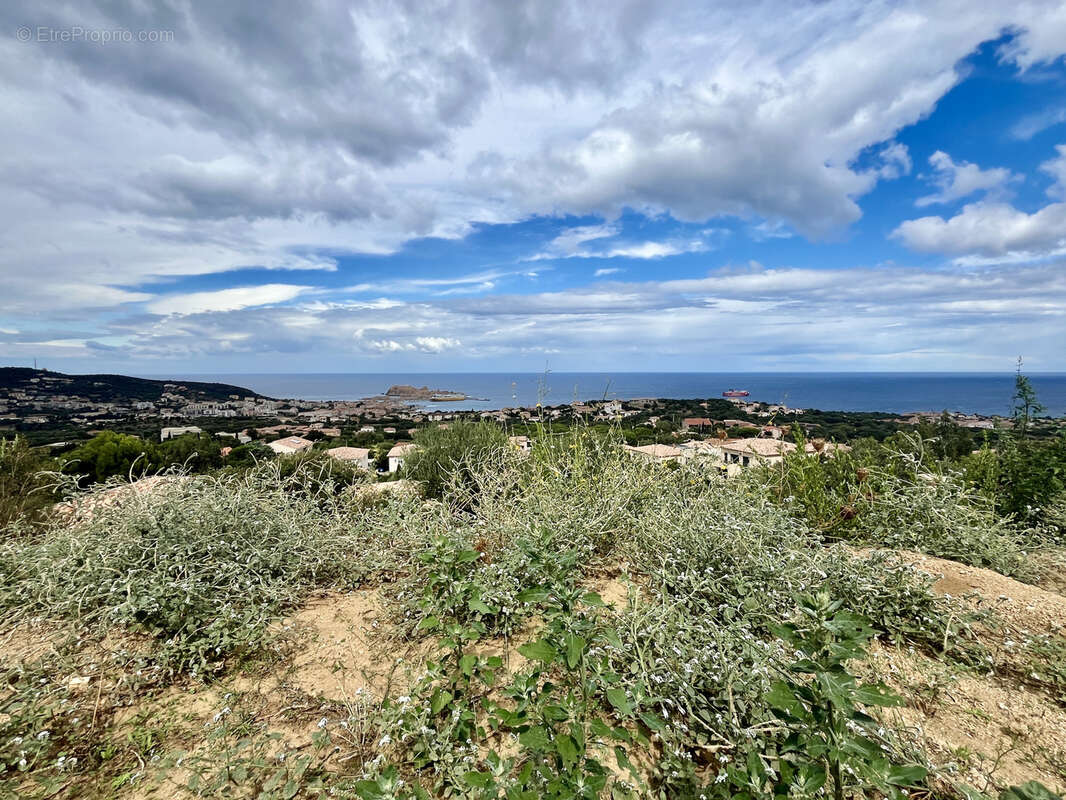 Terrain à MONTICELLO