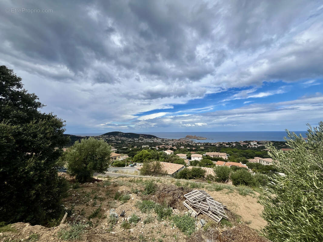 Terrain à MONTICELLO
