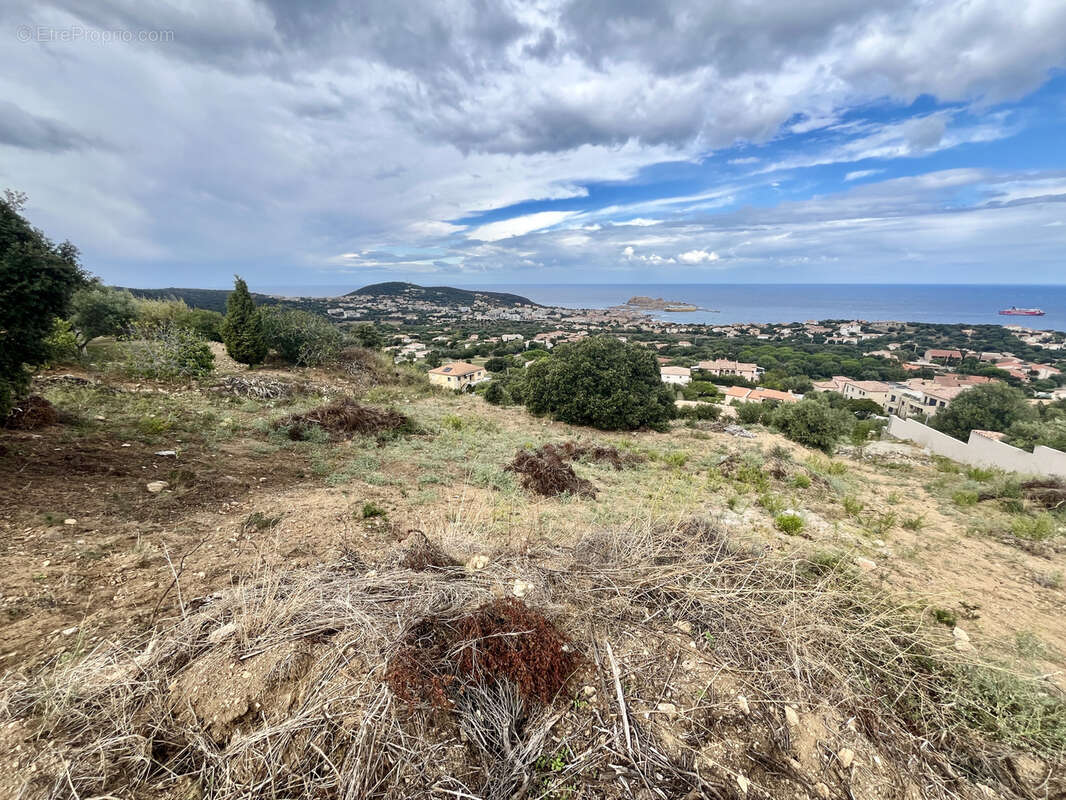 Terrain à MONTICELLO