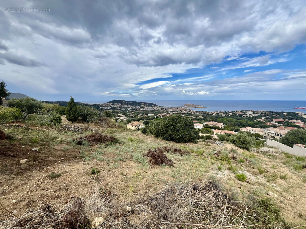 Terrain à MONTICELLO