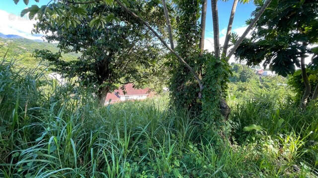 Terrain à SAINT-JOSEPH