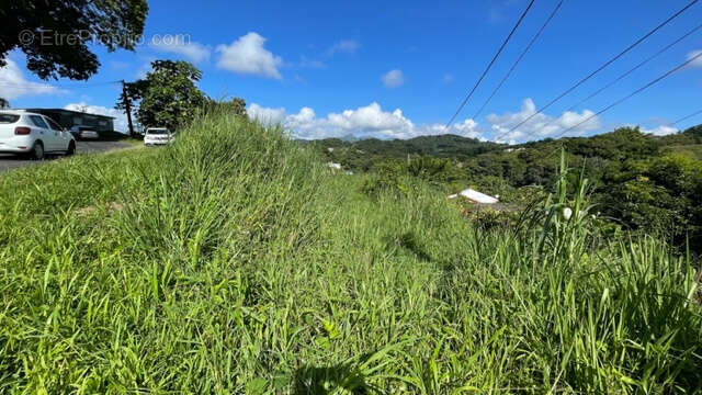 Terrain à SAINT-JOSEPH