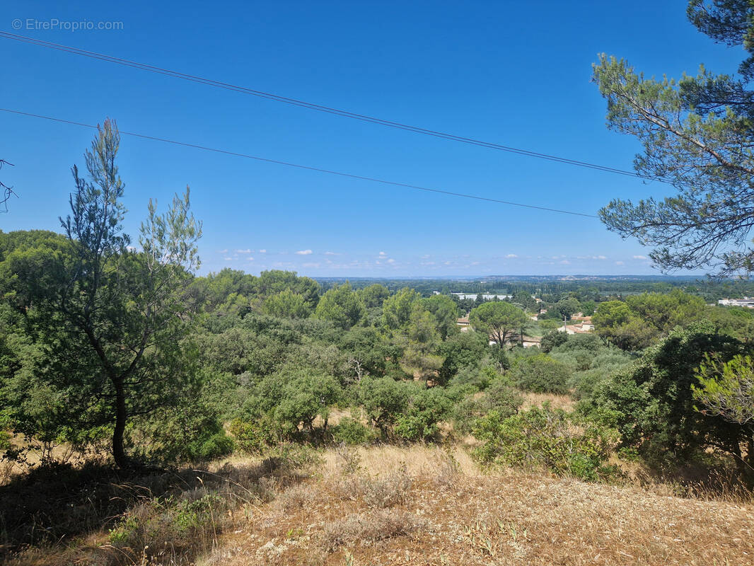 Terrain à CAVAILLON