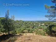 Terrain à CAVAILLON