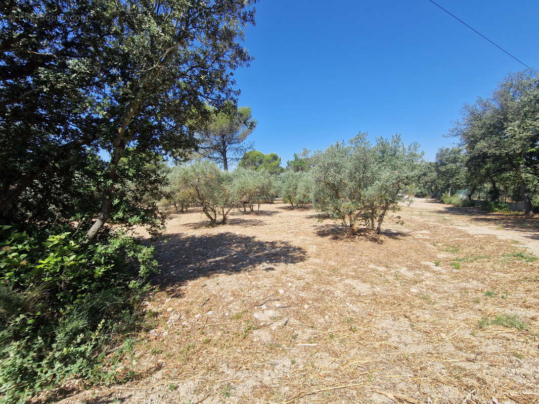 Terrain à CAVAILLON