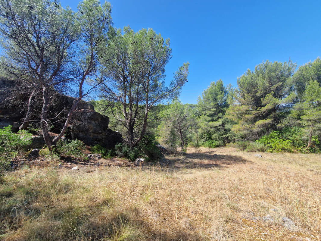 Terrain à CAVAILLON