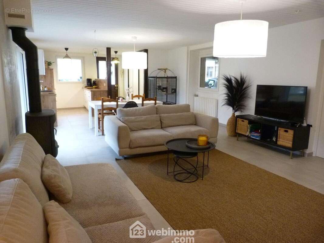 Vaste pièce de vie de 50 m2 - Maison à SAINT-MARTIN-D&#039;HERES