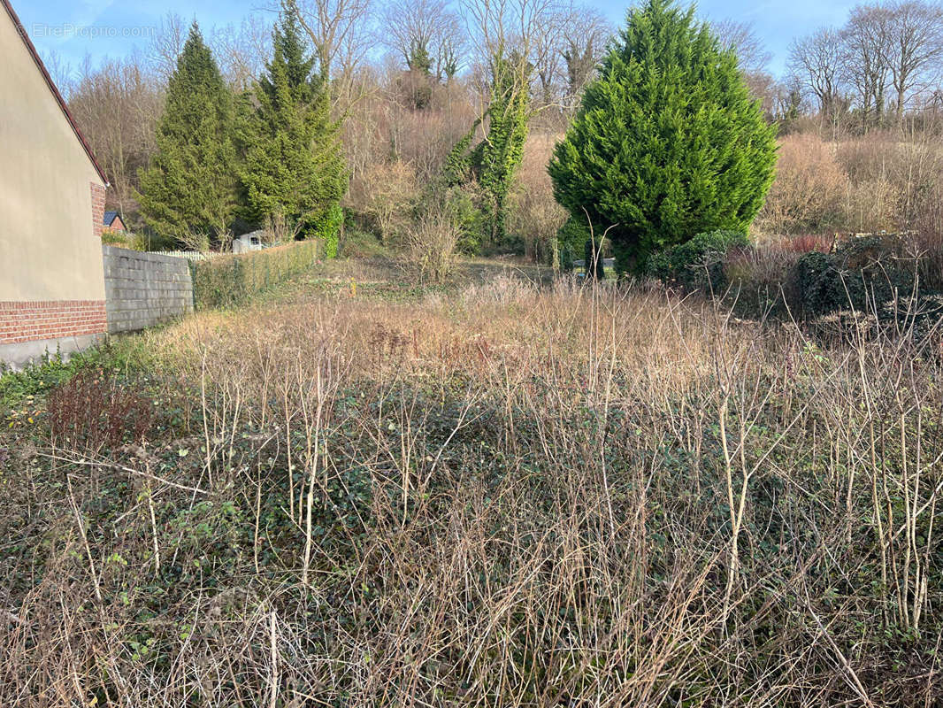 Terrain à CAMBLAIN-CHATELAIN