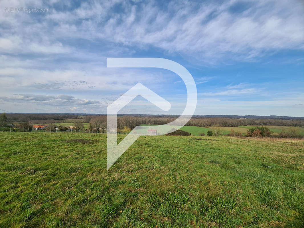 Terrain à CASTILLON(CANTON D&#039;ARTHEZ-DE-BEARN)