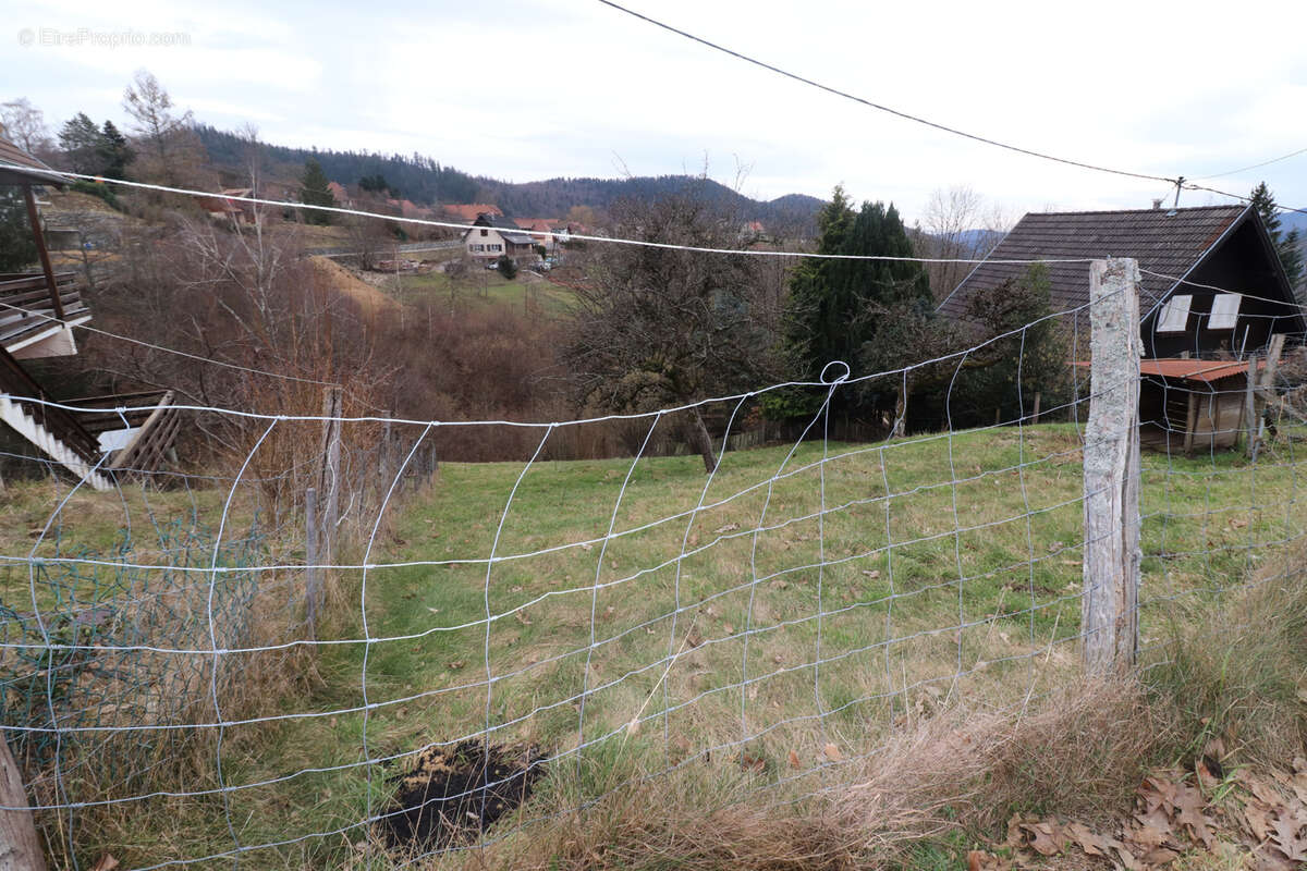 Terrain à GEISHOUSE