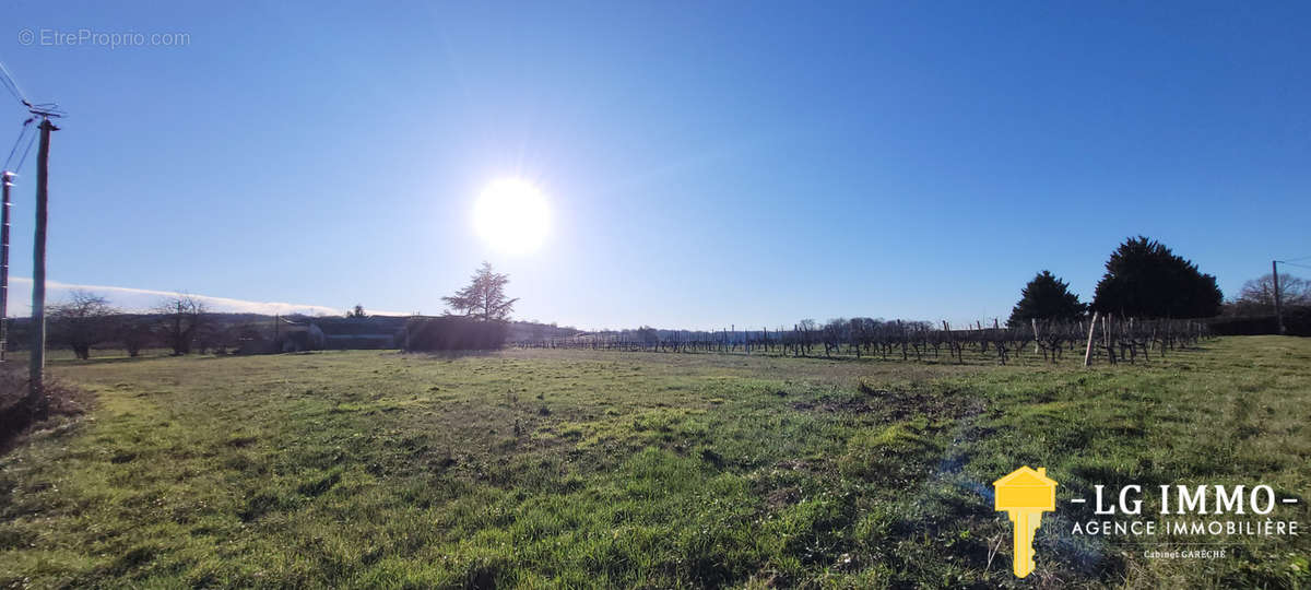 Terrain à SAINT-CIERS-DU-TAILLON