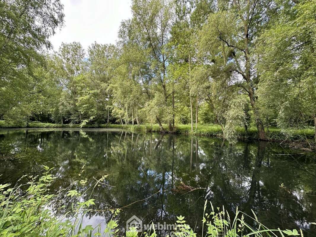 Ils disposent d'une hauteur d'environ 1m80 - Terrain à PRESLES-ET-THIERNY