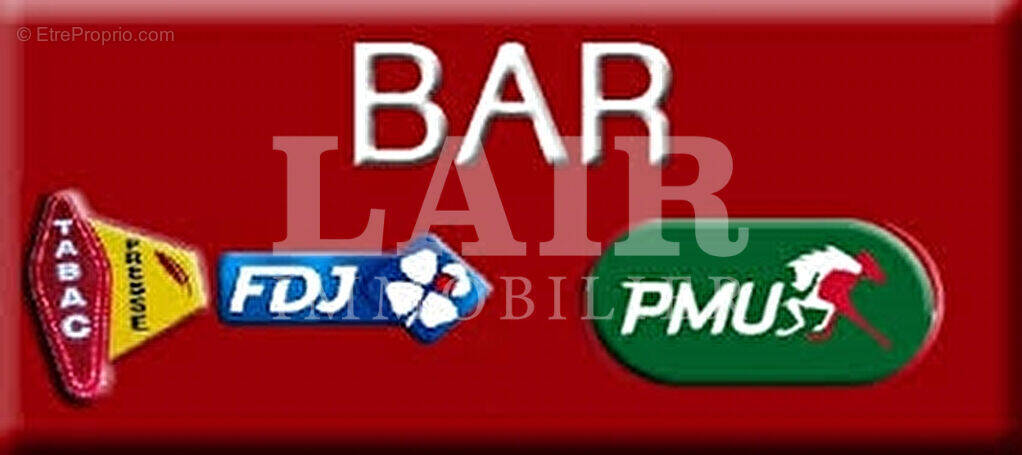 Commerce à SILLE-LE-GUILLAUME