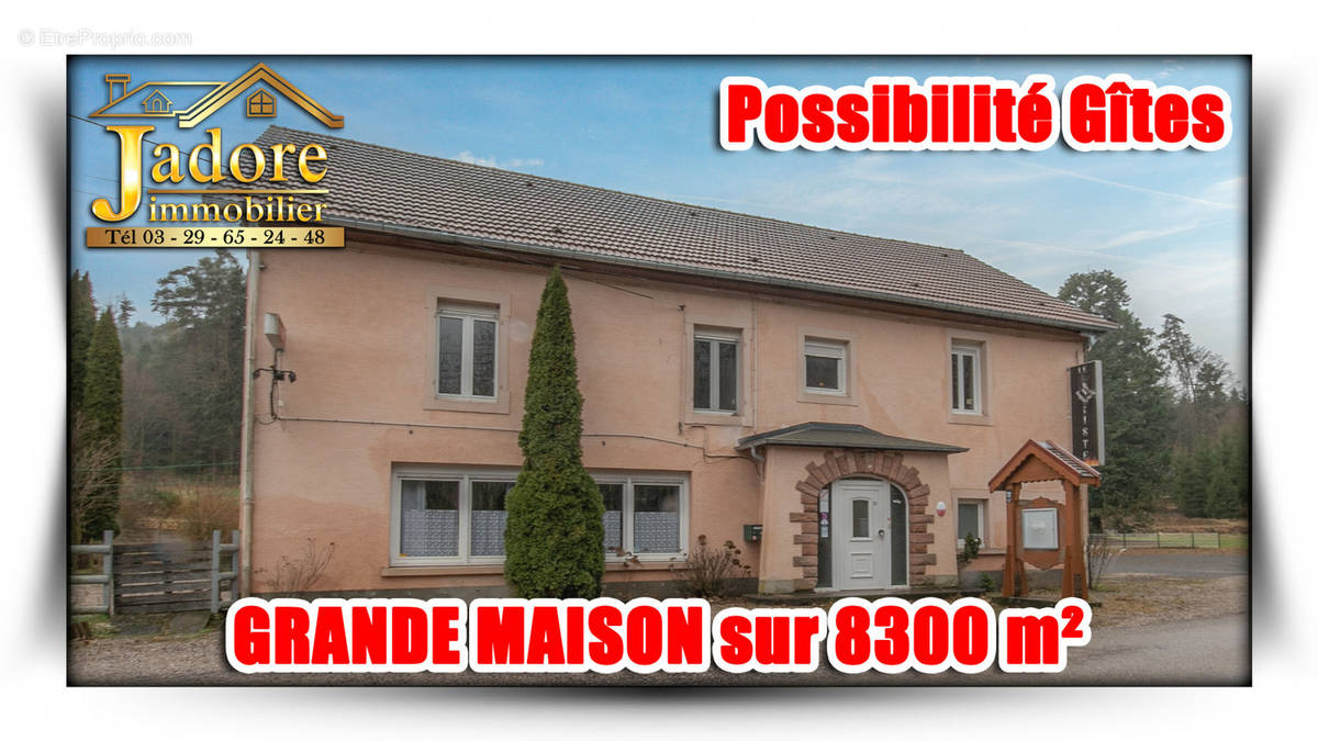 Maison à RAON-L&#039;ETAPE