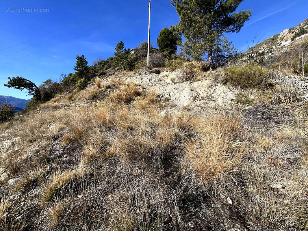 Terrain à TOUDON