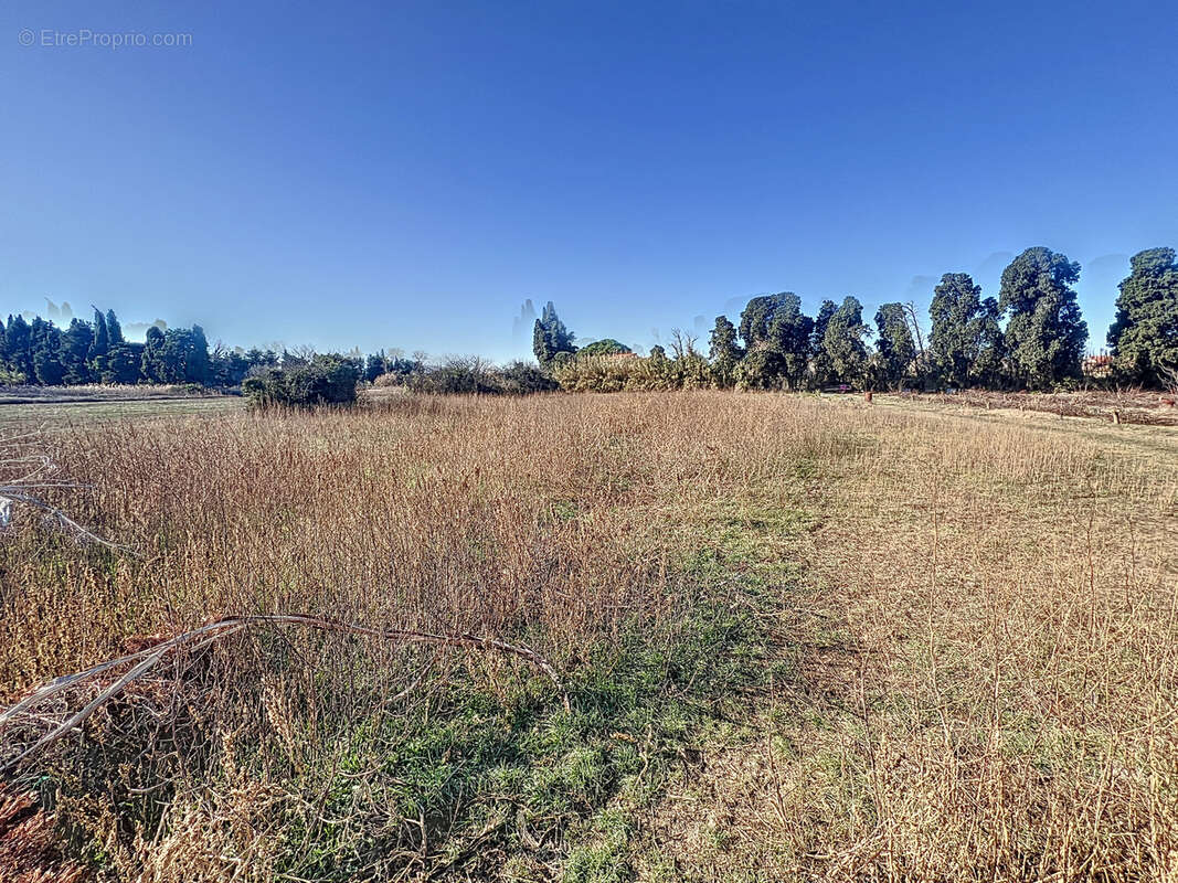 Terrain à VILLELONGUE-DE-LA-SALANQUE