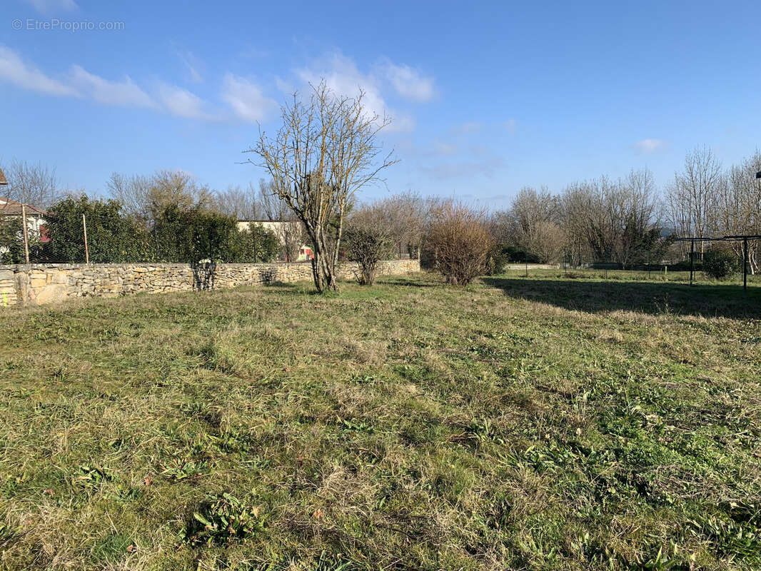 Terrain à SAINT-HILAIRE-DE-BRENS