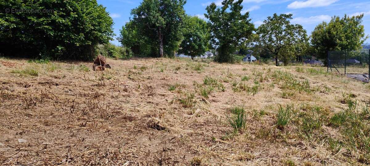 Terrain à DONZENAC