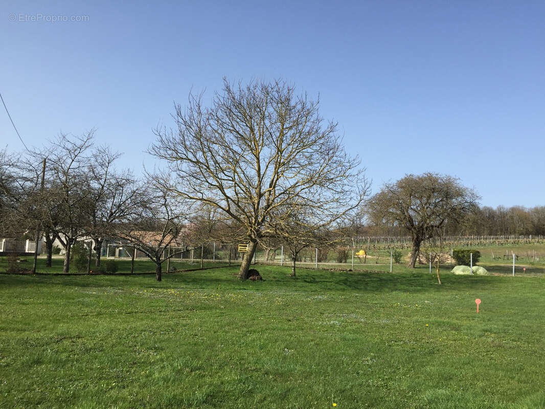 Maison à ROULLET-SAINT-ESTEPHE