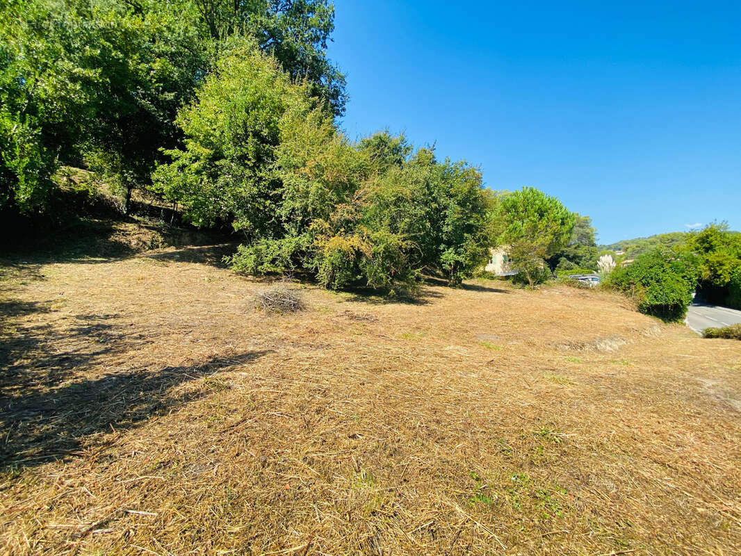 Terrain à LA COLLE-SUR-LOUP