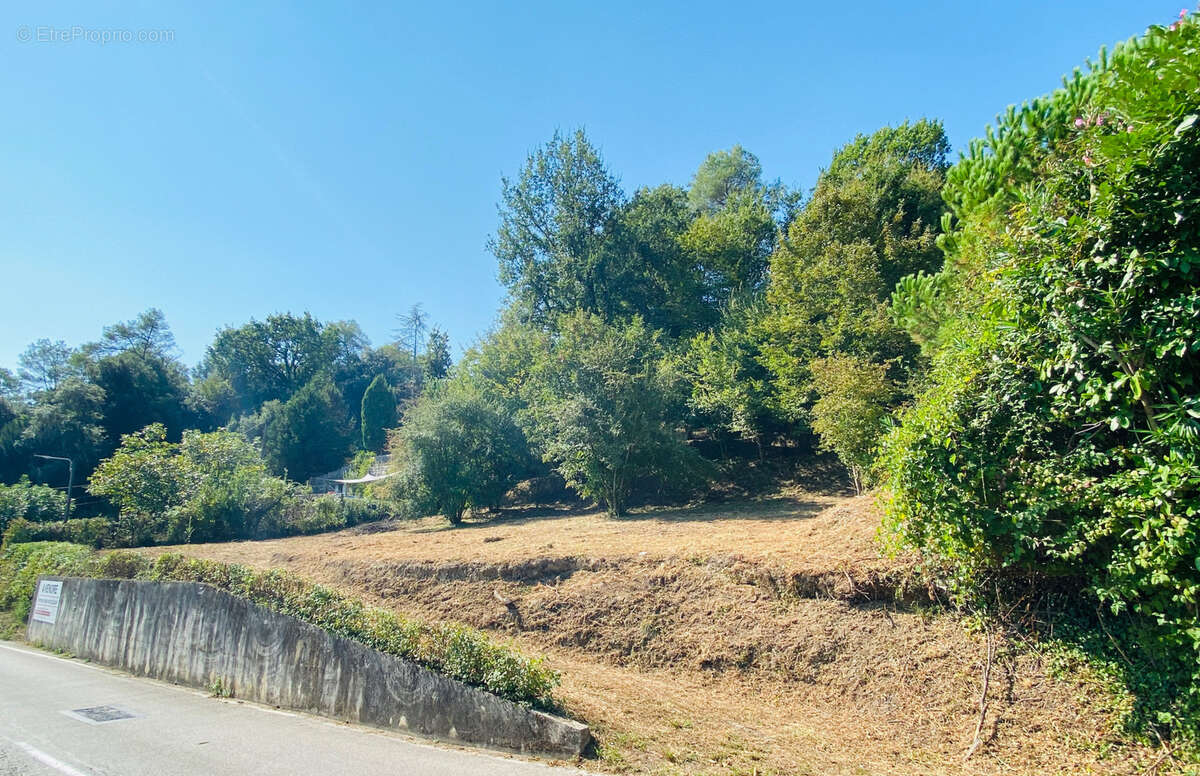 Terrain à LA COLLE-SUR-LOUP