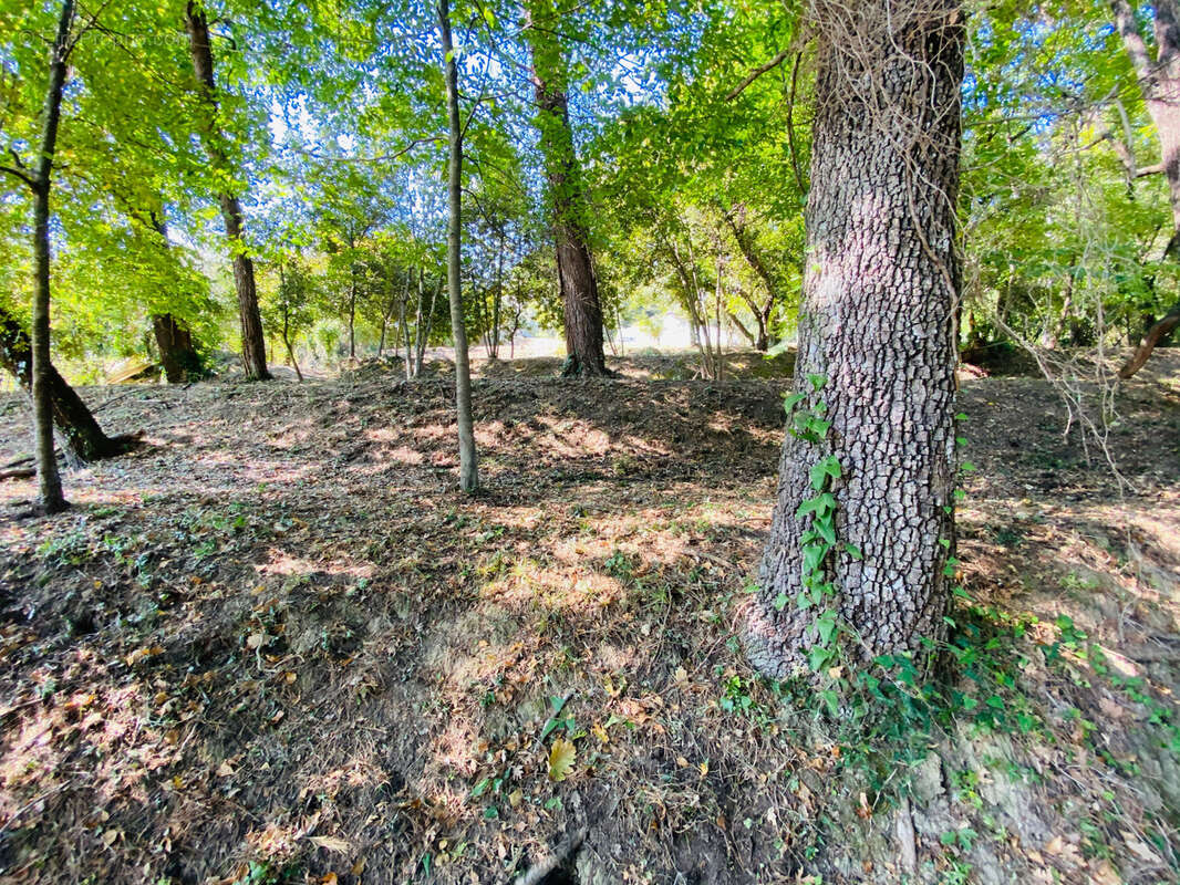 Terrain à LA COLLE-SUR-LOUP