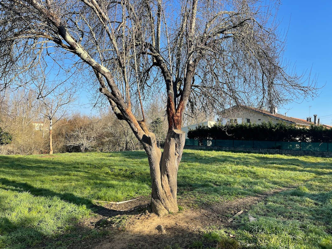 Terrain à FLEURANCE