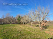 Terrain à PUYLAROQUE