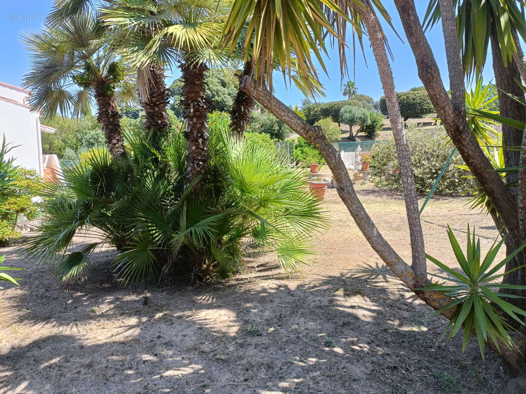 Maison à PIETROSELLA