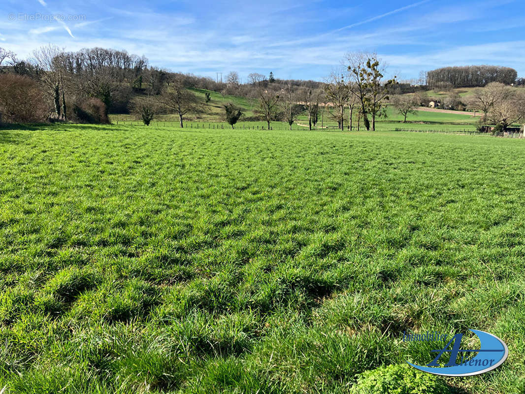 Terrain à THIVIERS