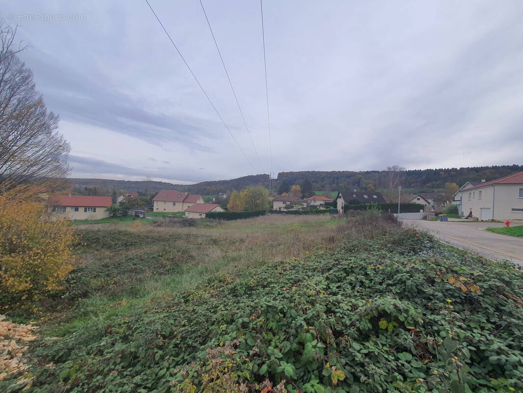 Terrain à GENEUILLE