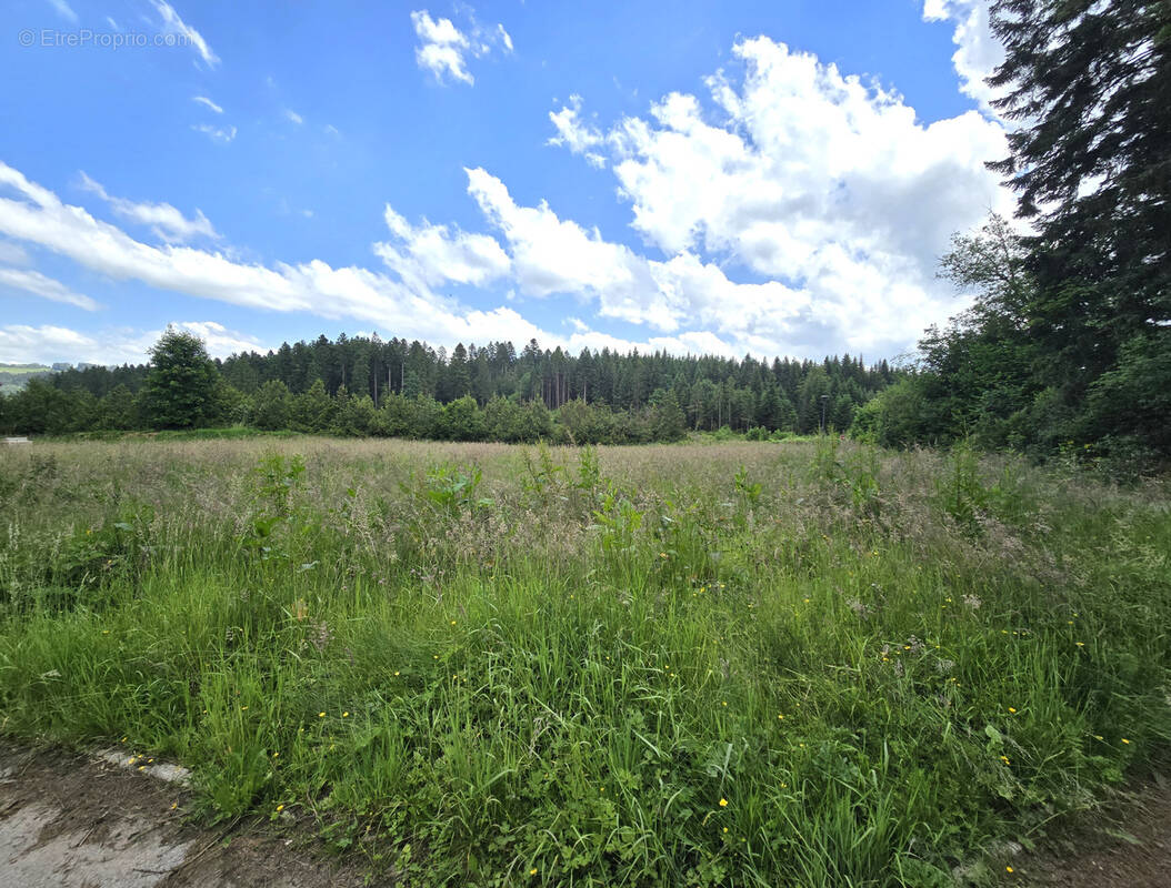 Terrain à CHARQUEMONT
