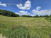 Terrain à LE BARBOUX