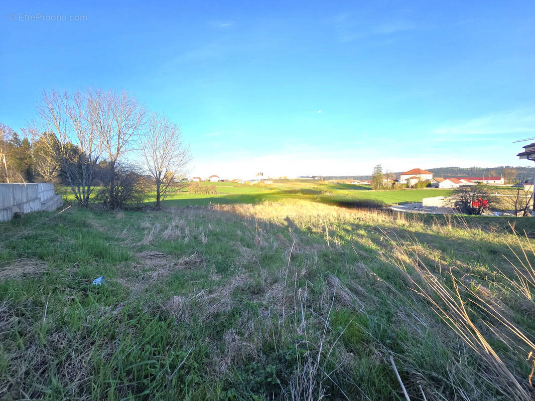 Terrain à ORCHAMPS-VENNES