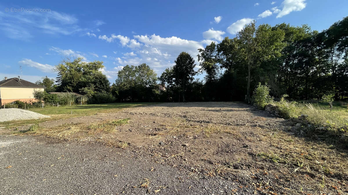 Terrain à SCHWENHEIM