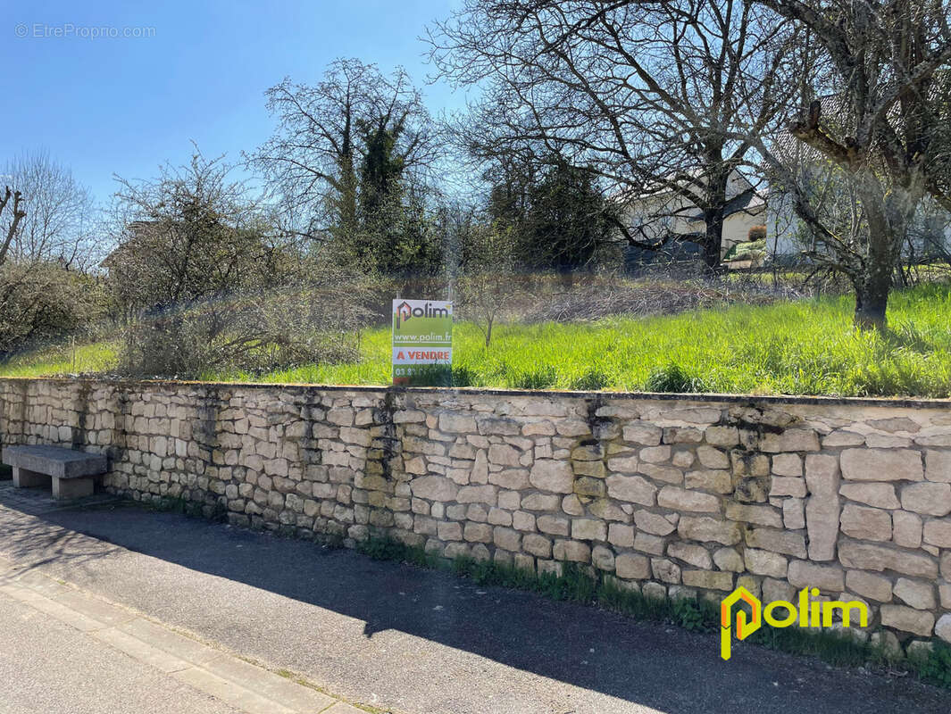 Terrain à JEZAINVILLE