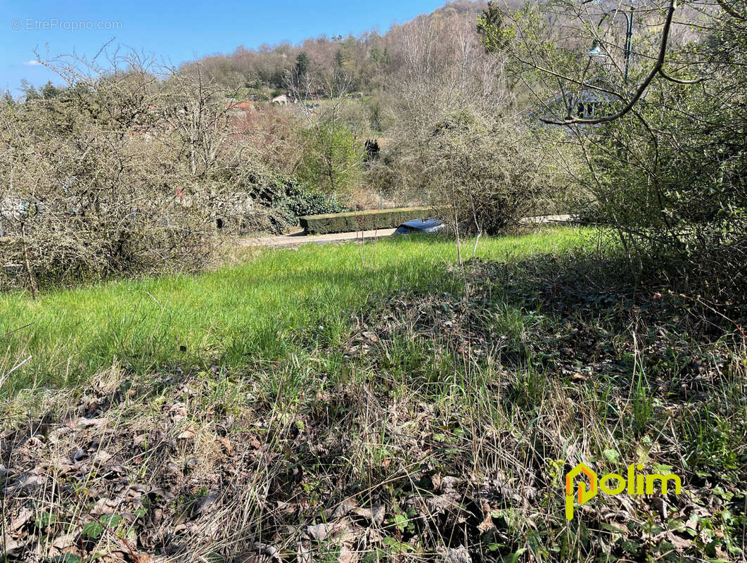 Terrain à JEZAINVILLE