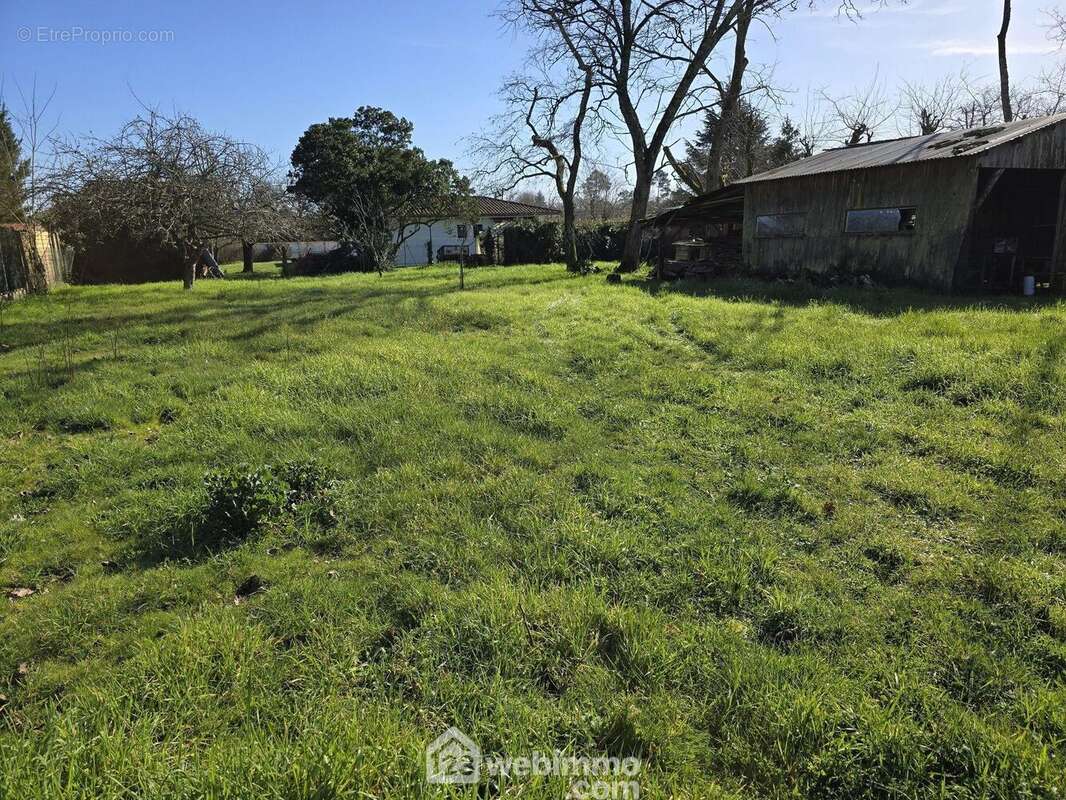 COS de 0.3 - Terrain à LE PIAN-MEDOC