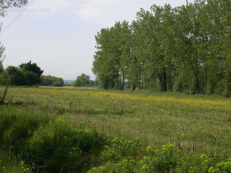 Terrain à PLAISANCE