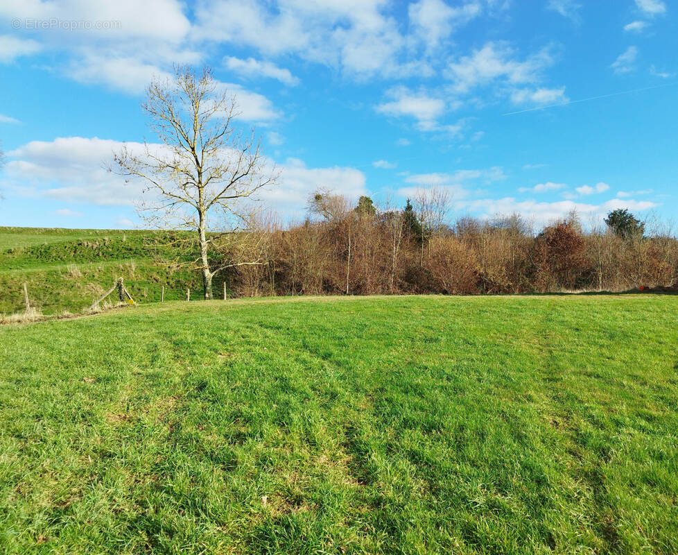 Terrain à CHARLEVAL