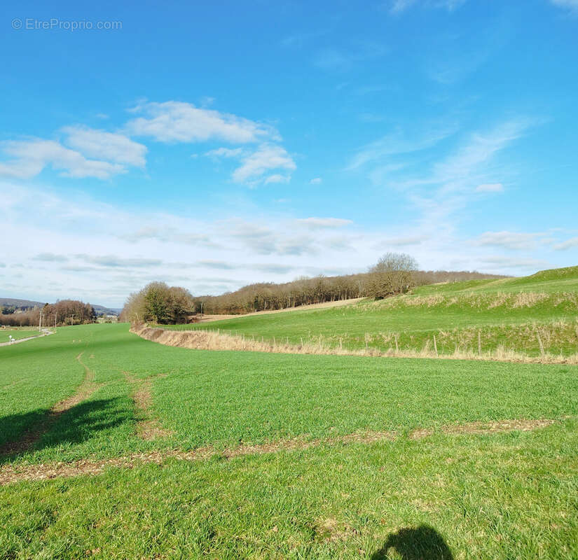 Terrain à CHARLEVAL