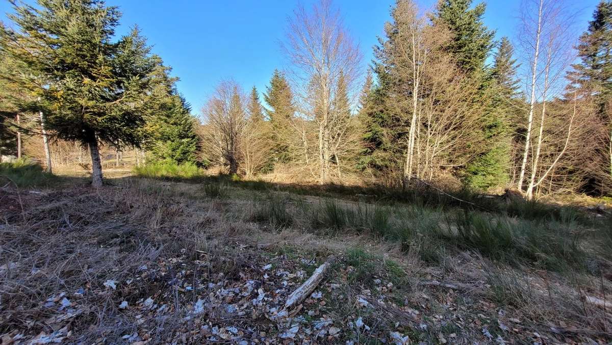 Appartement à LE CHAMBON-SUR-LIGNON