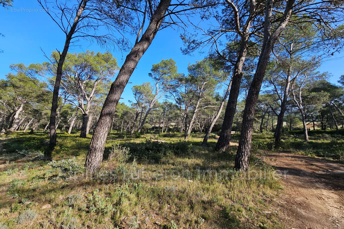 Terrain à ORGON