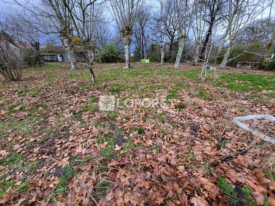 Terrain à SOLFERINO