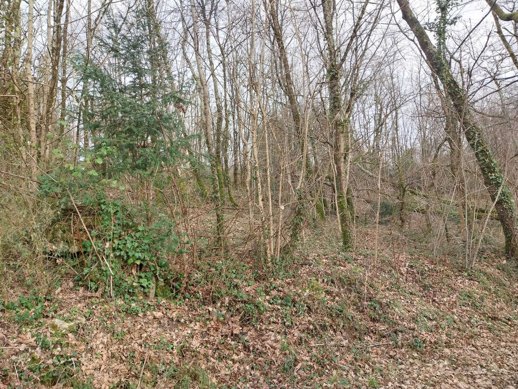 Terrain à LOUZAC-SAINT-ANDRE