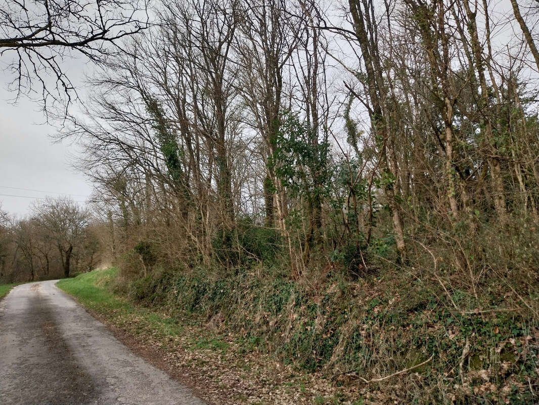 Terrain à LOUZAC-SAINT-ANDRE