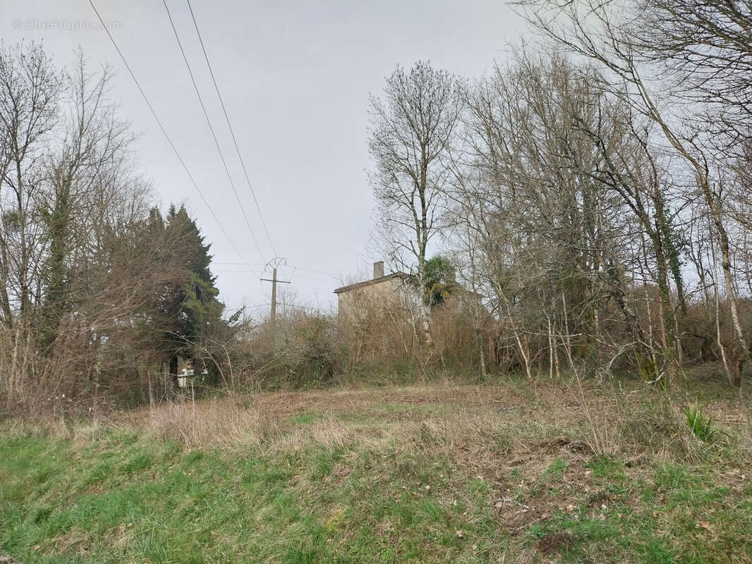 Terrain à LOUZAC-SAINT-ANDRE