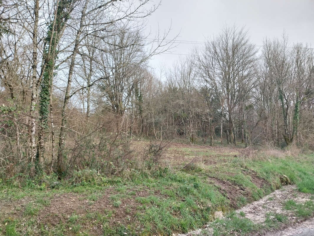 Terrain à LOUZAC-SAINT-ANDRE