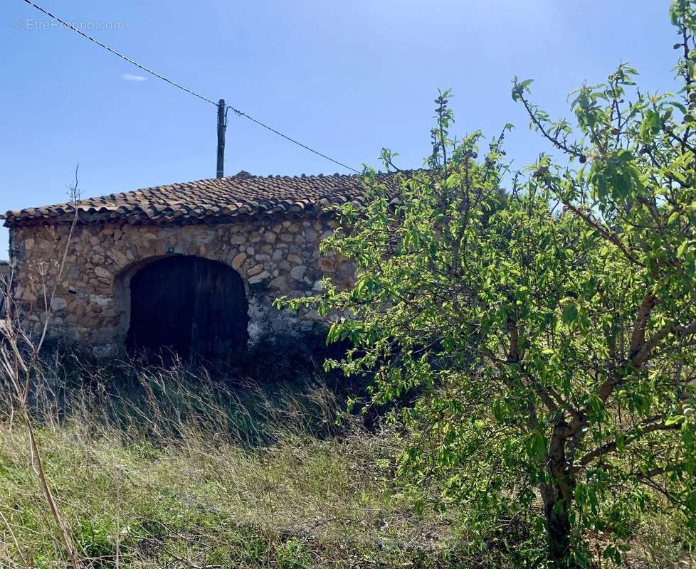 Terrain à CAVES